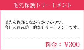 毛先保護トリートメント