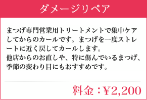 ダメージリペア